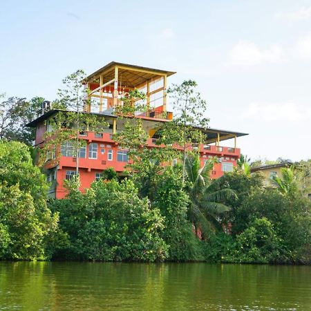 Madu River Edge Hotel Balapitiya Exterior photo